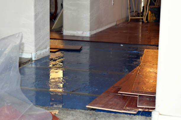 Professional Sewage Cleanup technician working in Oakley, MI